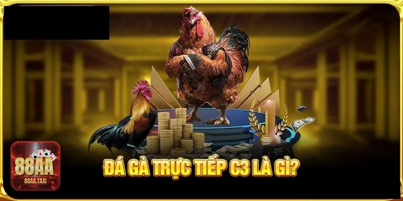 Đá gà 88aa là sảnh chiến kê trực tuyến dành cho sư kê hiện đại